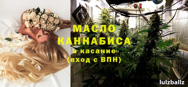 стаф Аркадак