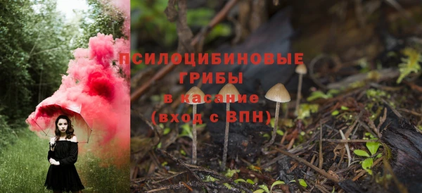 стаф Аркадак