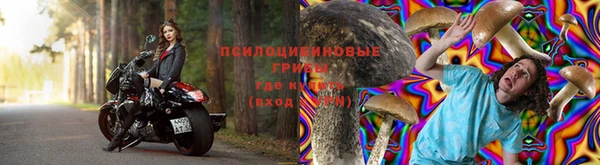 стаф Аркадак