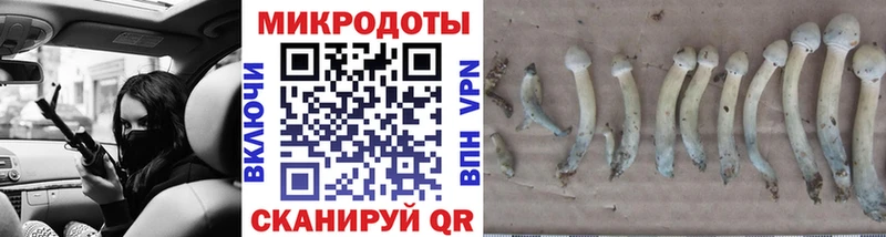 Псилоцибиновые грибы Magic Shrooms  Иланский 